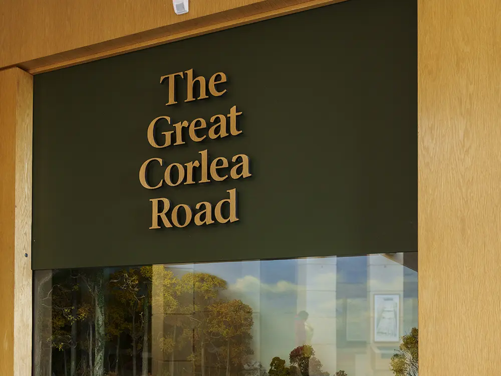 Explore Corlea Bog and the Ancient Corlea Trackway- A Journey into Ireland’s Past